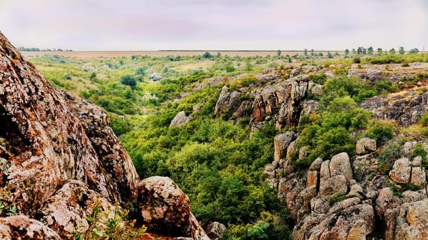 a deep gorge, typically one with a river flowing through it.Picturesque rocky canyon with green vegetation and trees.