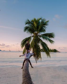 Praslin Seychelles tropical island with withe beaches and palm trees, a couple of men and a woman in with a palm tree at Anse Volber Seychelles. sunset palm tree