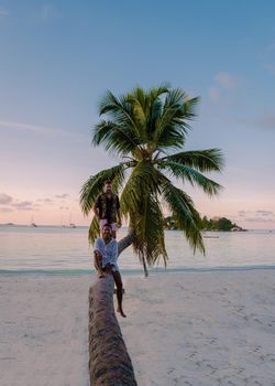 Praslin Seychelles tropical island with withe beaches and palm trees, a couple of men and a woman in with a palm tree at Anse Volber Seychelles. sunset palm tree