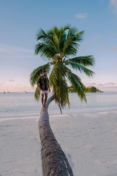 Praslin Seychelles tropical island with withe beaches and palm trees, men with a palm tree at Anse Volbert Seychelles. sunset palm tree