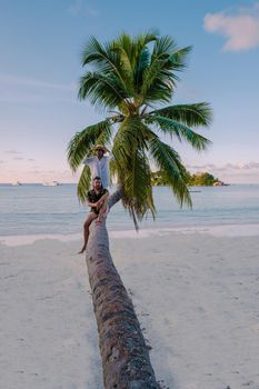 Praslin Seychelles tropical island with withe beaches and palm trees, a couple of men and a woman in with a palm tree at Anse Volber Seychelles. sunset palm tree