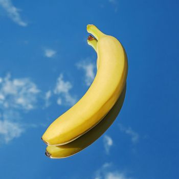 Banana fruit tropical yellow on blue sky and clouds background. Banana in the mirror surreal minimal concept.