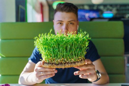 Green microgreen vegeterian food in hands. Handsome man holds microgreen of sunflower seeds in the field. Vegan food delivery. Sunshile from left side