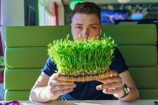 Green microgreen vegeterian food in hands. Handsome man holds microgreen of sunflower seeds in the field. Vegan food delivery. Sunshile from left side