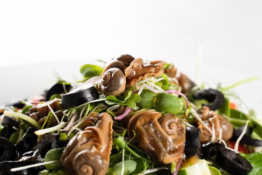 Close-up green salad with snails on white background. French gourmet cuisine.