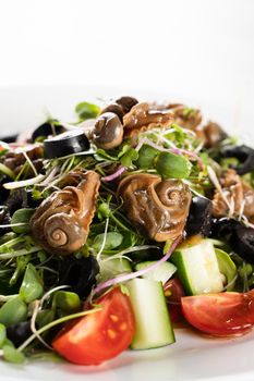 Green salad with escargot grape snails on white background. French gourmet cuisine