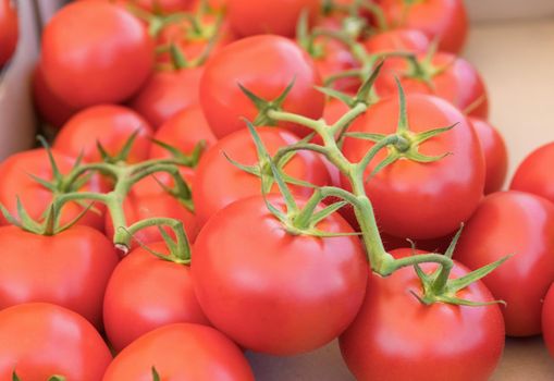 A bunch of red tomatos on the market