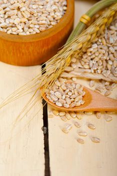 organic wheat grains  over rustic wood table macro closeup