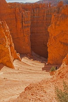 These steep switchbacks connects the depths of the rift with Sunset Point, the start and finish of the Navajo Loop