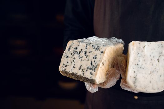 Blue cheese and gouda with italian herbs in hands. Holding dorblu, gorgonzola, roquefort. French gourmet cuisine.