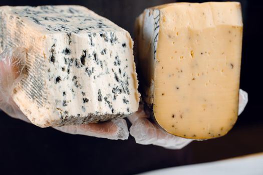 Blue cheese and gouda with italian herbs in hands. Holding dorblu, gorgonzola, roquefort. French gourmet cuisine.