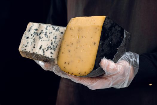 Blue cheese and gouda with italian herbs in hands. Holding dorblu, gorgonzola, roquefort. French gourmet cuisine.