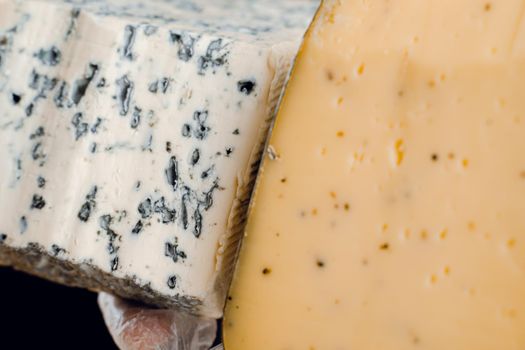 Blue cheese and gouda with italian herbs in hands. Holding dorblu, gorgonzola, roquefort. French gourmet cuisine.