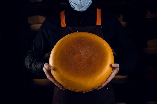 Big yellow cheese wheel in hands. Seller in mask for protection against coronavirus covid-19. holding round cheese