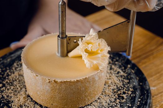 Shaving tete de moine cheese using girolle knife. Monks head. Variety of Swiss semi-hard cheese made from cows milk.