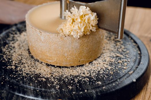 Shaving tete de moine cheese using girolle knife. Monks head. Variety of Swiss semi-hard cheese made from cows milk.