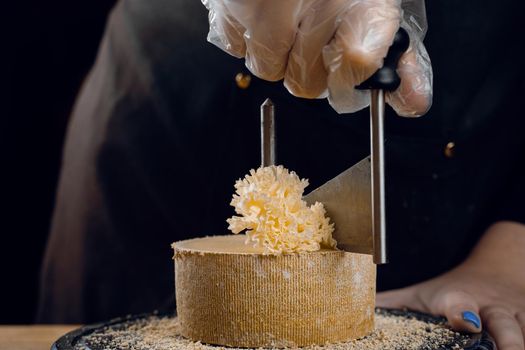 Shaving tete de moine cheese using girolle knife. Monks head. Variety of Swiss semi-hard cheese made from cows milk.