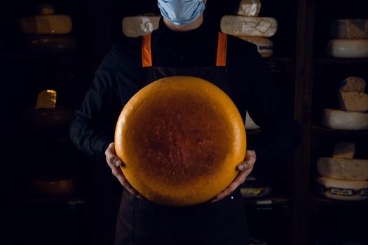 Big yellow cheese wheel in hands. Seller in mask for protection against coronavirus covid-19. holding round cheese
