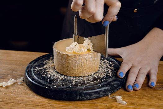 Shaving tete de moine cheese using girolle knife. Monks head. Variety of Swiss semi-hard cheese made from cows milk.