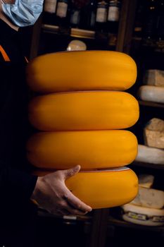 4 Big yellow cheeses wheels in hands. Seller in mask for protection against coronavirus covid-19. holding round cheese