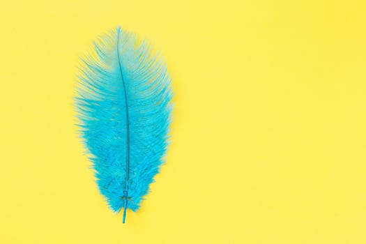 Blue feather on bright yellow background. Copy space for text 