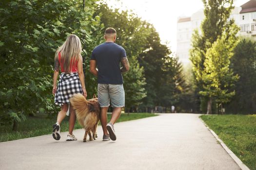 Young beautiful couple walking Border Collie dog in the summer park