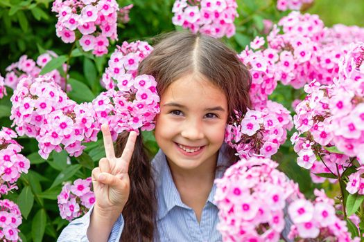 cute little girl, stands in lush pink phlox flowers, summer in the garden. Close-up