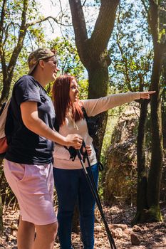 young women relaxing and enjoying themselves on a mountain trail. tourists hiking in nature. young people on holiday. hiking poles and mountaineer's backpack. natural and warm light. lush vegetation. hiking poles.