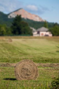 Rolled baled hay on a meadow with house and mountain in a background.