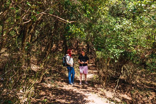 two friends walking and hiking on a mountain trail. young people on holiday. women doing sport. tourists hiking in nature. hiking poles and mountaineer's backpack. warm natural light. lush vegetation. hiking poles.