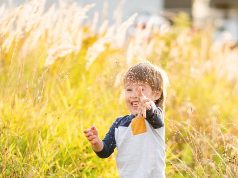 Cute toddler plays in field. Smiling boy throws plant seeds in the air. Autumn outdoor leisure activity for children. Fall season.