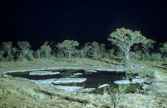 Waterhole illuminated by artificial light in Halali camp - Etosha National Park, Namibia.