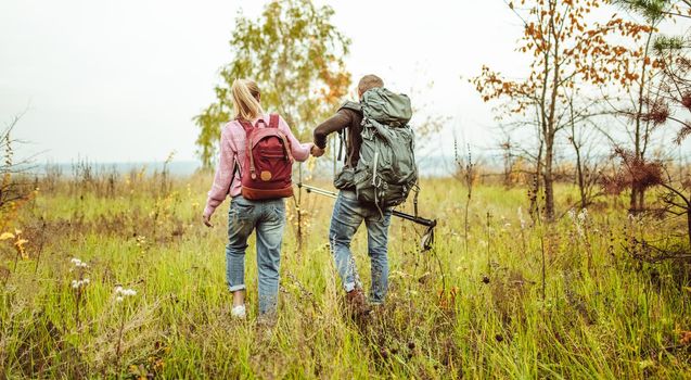Rear view of a traveling couple of backpacker wading outdoors through an autumn field holding hands with hiking poles. Hiking concept.