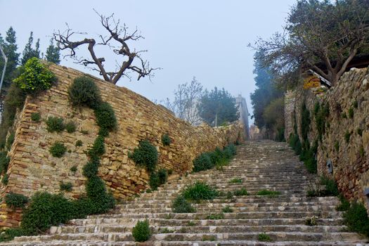 Old stone steps and brick walls showing heavy weathering and with plants growing on them