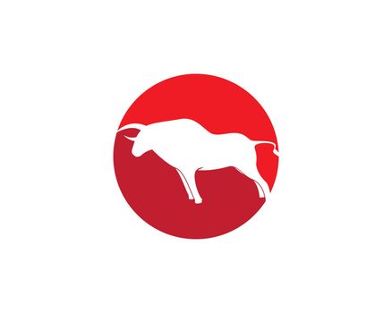 Red Bull Taurus Logo Template vector icon illustration