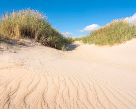 dutch wadden islands have many deserted sand dunes uinder blue summer sky in the netherlands