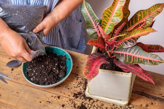 The woman prepares the soil for transplanting flowers. We pour the earth into a bowl.