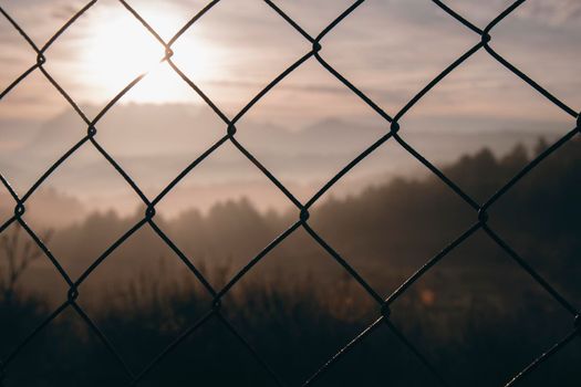 Landscape showing a forest with trees and the sun over them through a mesh fence