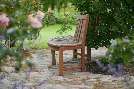 Empty wooden bench surrounded by roses
