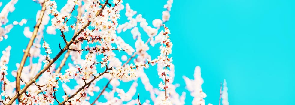 Blooming tree in the garden. Selective focus nature.