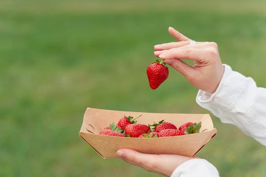 Holding strawberry in hand. Strawberries in disposable eco plate on green background. Seasonal red berry.