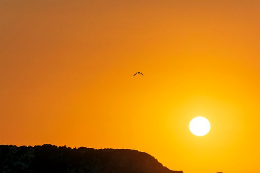 Gialova lagoon sunset. The Gialova lagoon is one of the most important wetlands in Europe, as it constitutes the southernmost migratory station of migratory birds in the Balkans to and from Africa.