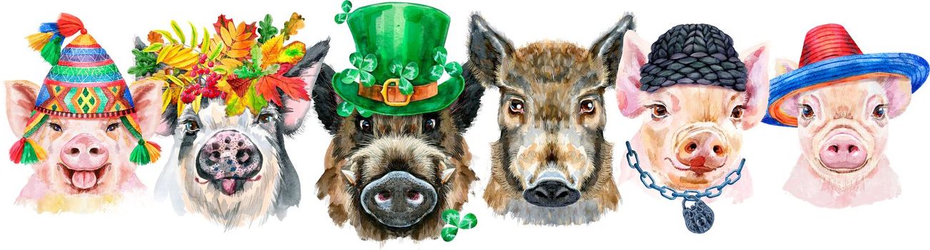 Cute border from watercolor portraits of pigs. Watercolor illustration of pigs in wreath of autumn leaves, chullo hat, sombrero, winter black hat and Saint Patrick's hat