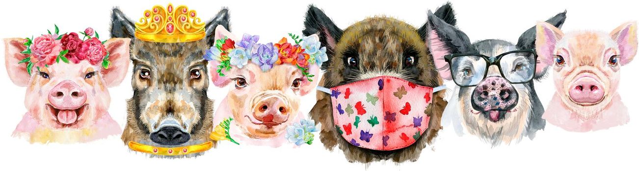 Cute border from watercolor portraits of pigs. Watercolor illustration of pigs in wreath of peonies, glasses, medical mask and golden crown
