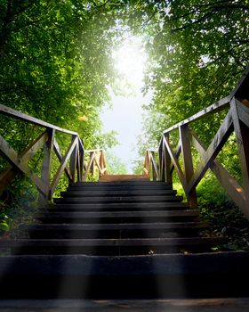 path, road from darkness to light, blue sky, a wooden ladder among trees, summer nature