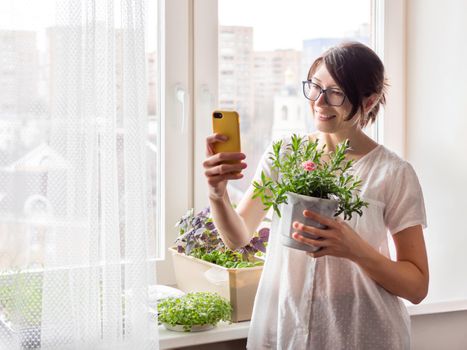 Woman is shooting selfie with blooming carnation flower. Houseplants and microgreens on windowsill. Growing edible organic basil, arugula for healthy nutrition. Gardening at home.