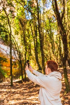 woman lost in the forest, searching for reception signal for her smart phone. accident on vacation. hiking poles and mountaineer backpack. natural and warm light. lush vegetation. hiking poles.