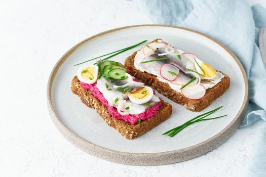 Savory smorrebrod, two traditional Danish sandwiches. Black rye bread with anchovy, beetroot, radish, eggs, cream cheese on grey plate on a white stone table, side view