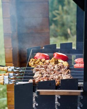 marinated barbecue shashlik kebab with curry winglets and roasted pepper and tomatoes in chargrill semifinished on skewer dacha picnic dish, keto ketogenic paleo fodmap diet, side view closeup vertical