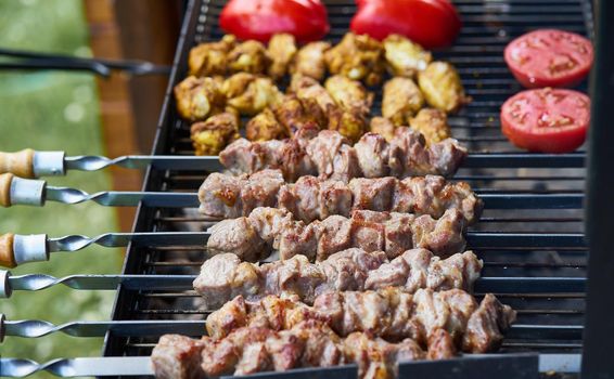 marinated barbecue shashlik kebab with curry winglets and roasted pepper and tomatoes in chargrill semifinished on skewer dacha picnic dish, keto ketogenic paleo fodmap diet, side view closeup